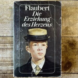 Flaubert Die Erziehung des Herzens Paperback‎ Book